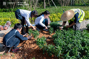 广州博萃德学校活动
