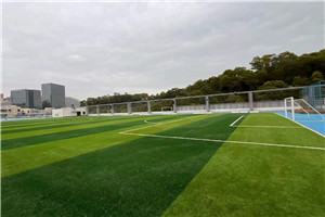 加拿大女王学院足球场