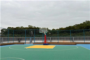 加拿大女王学院篮球场