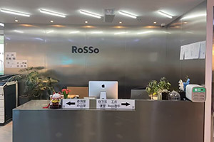 洛素国际艺术教育