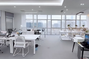 星展国际艺术教育