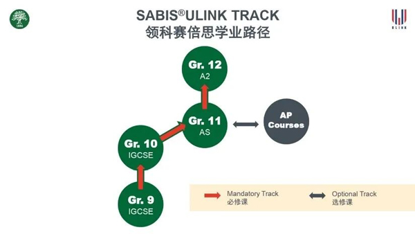 领科赛倍思学业路径