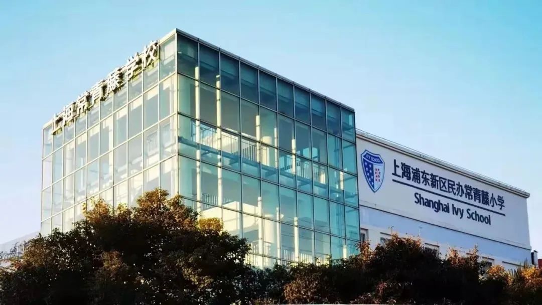 上海浦东新区民办常青藤小学