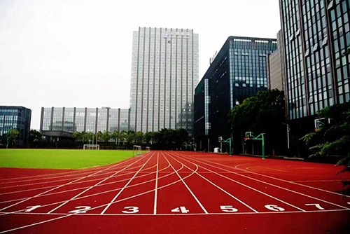 素尼书院香港dse课程上海校区