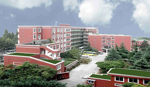 西南位育国际部