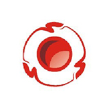 深圳市第三高级中学国际部日本名校项目